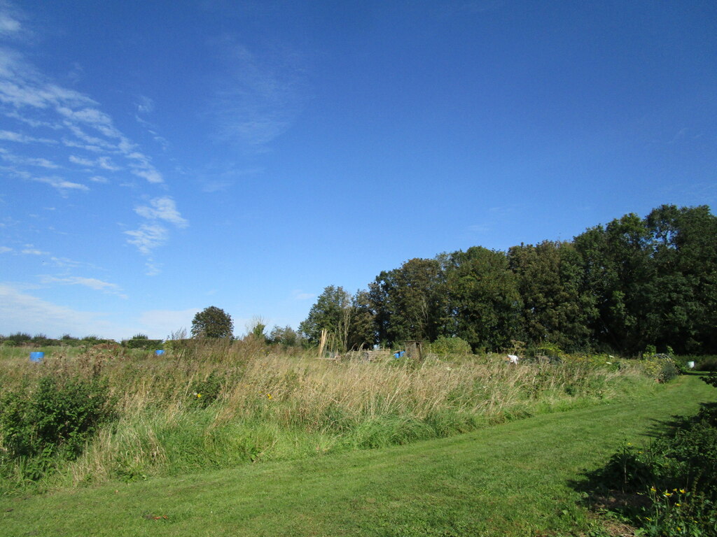 The village allotments off Short Lane