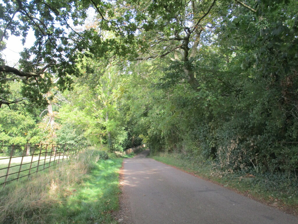 Eagle Lane, the tree-lined lane leading towards Thorpe Malsor Hall